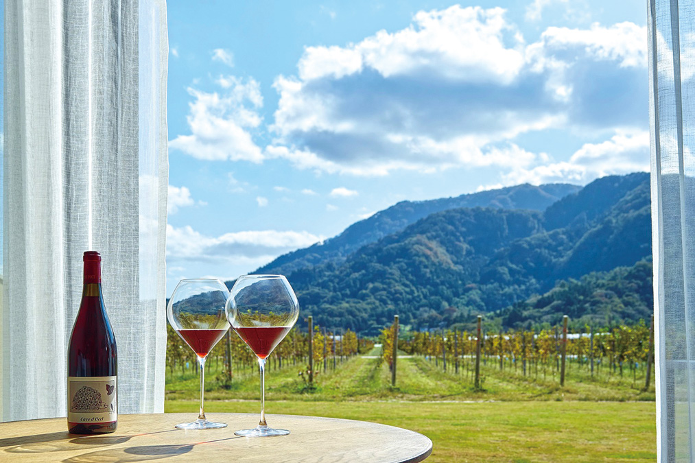 早朝時短_9.20-カーブドッチ_左ボトル部分はカットしましょう-1